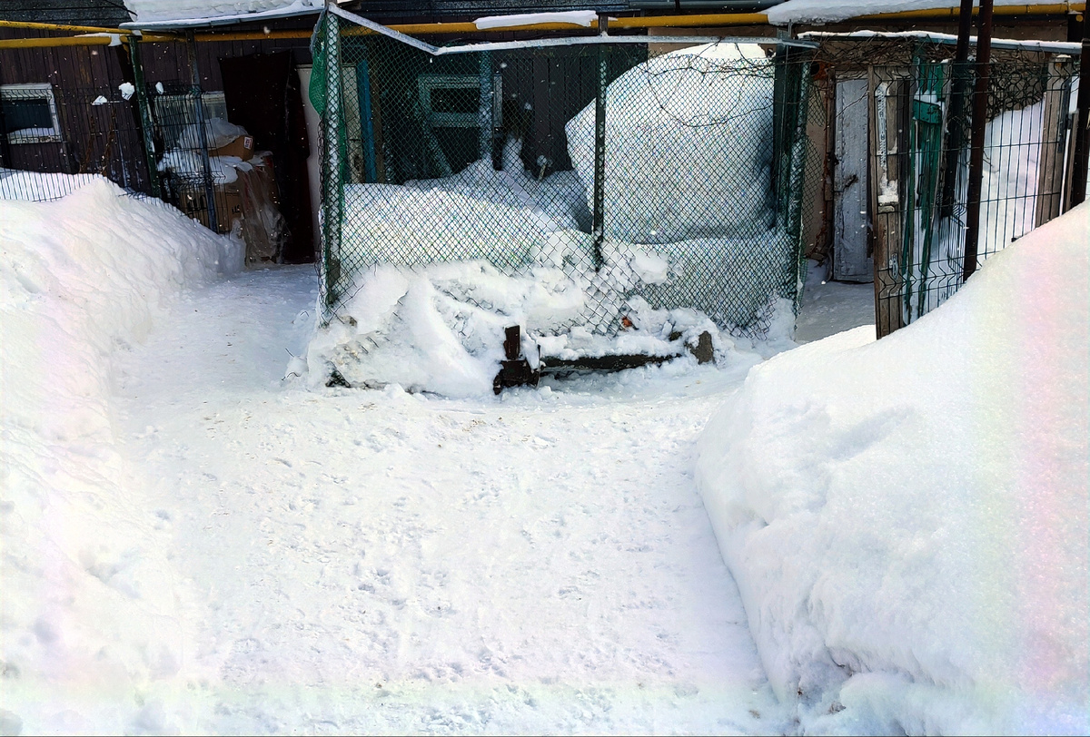 Проход к курочки успешно почищен. 