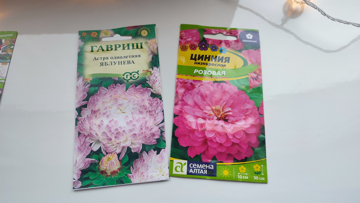 Яркие однолетники, циния цветет практически все лето, астра будет радовать ранней осенью