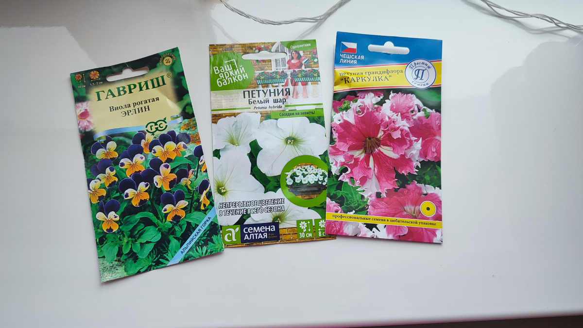 Ярко цветущие однолетники, уже скоро будем сеять