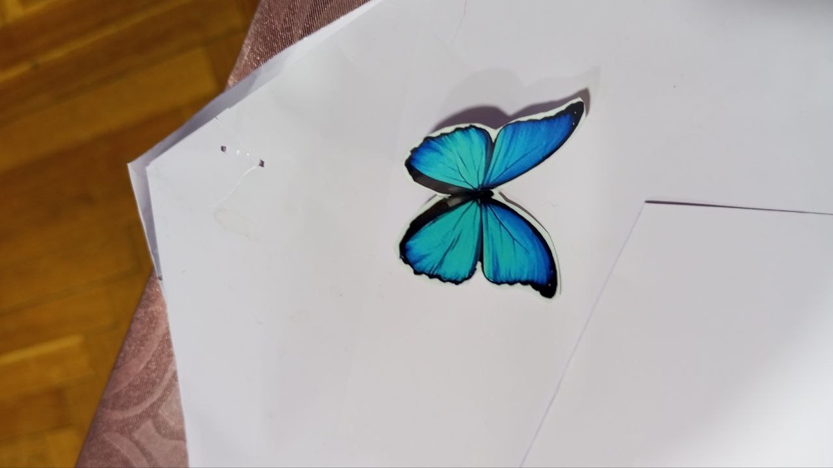 очень красивые бабочки