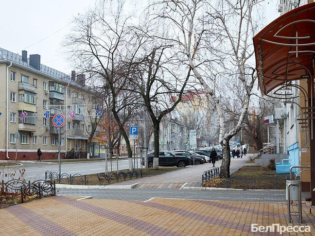 Фото: Елена Журавлёва (архив)