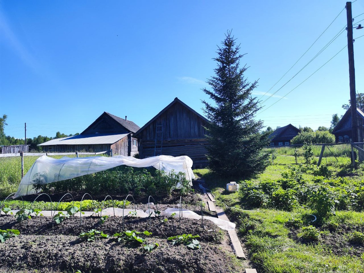 Изменения порадуют россиян.  Фото: Фото: ФедералПресс / Ксения Кобалия