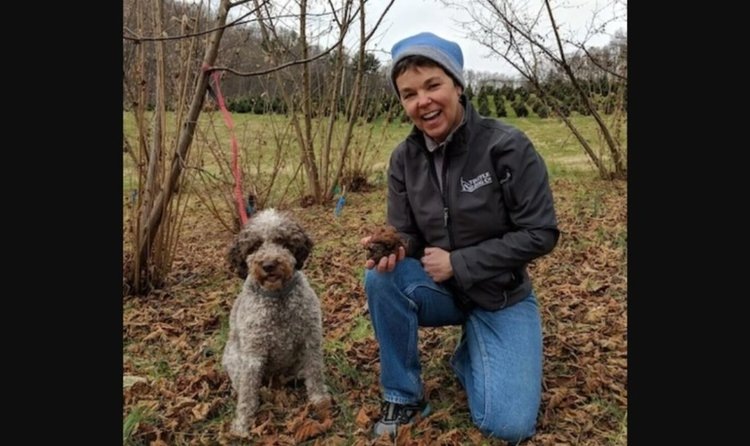    Трюфелеводство расширяется с новыми видами этих грибов для коммерциализации