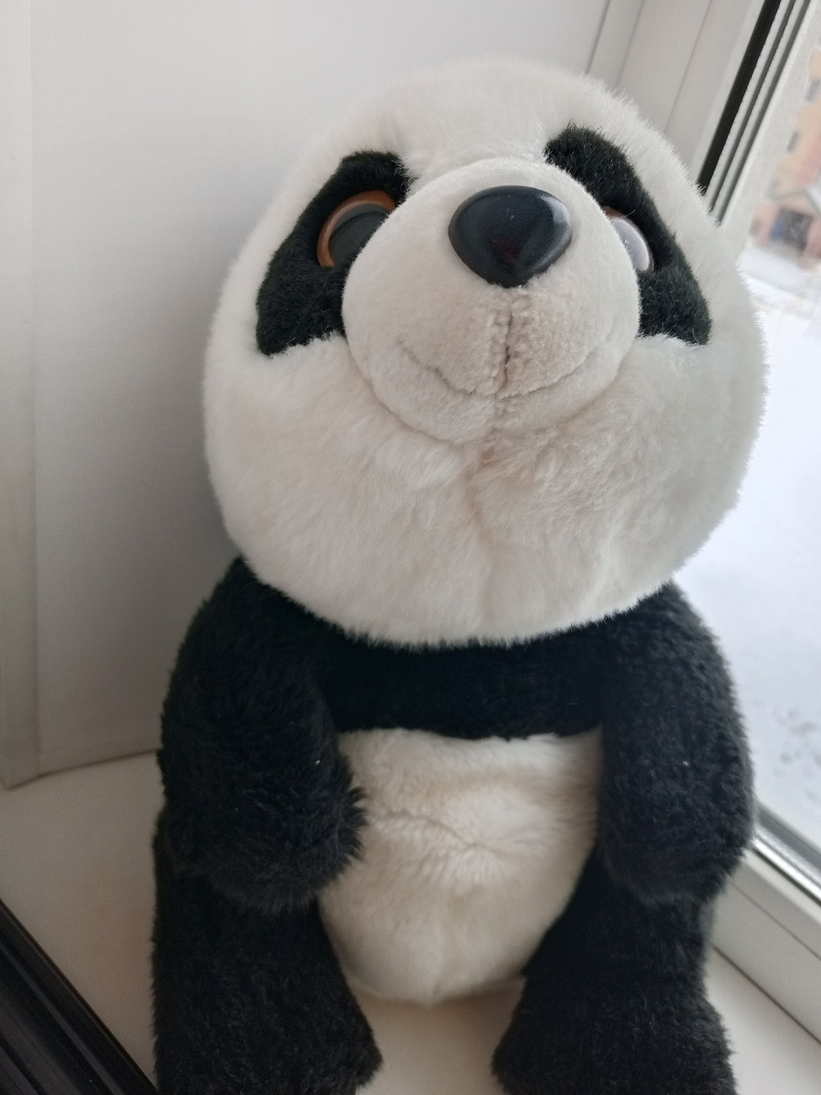 Источник: личное фото