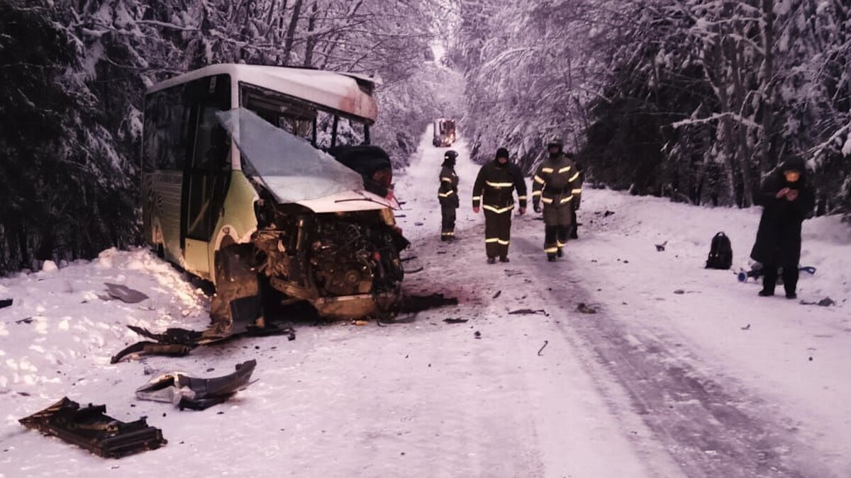    Фото: t.me/prok_lenobl