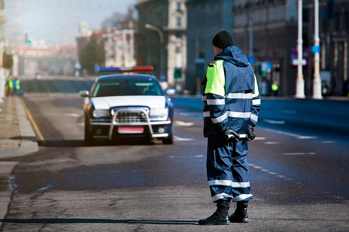    Фото: Tricky_Shark / Shutterstock.com