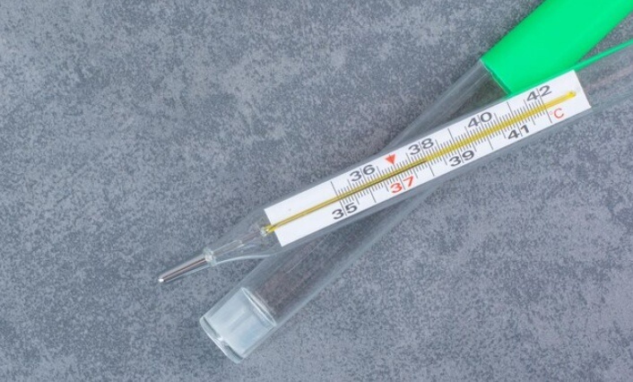    Фото: ru.freepik.com Екатерина Шахнина