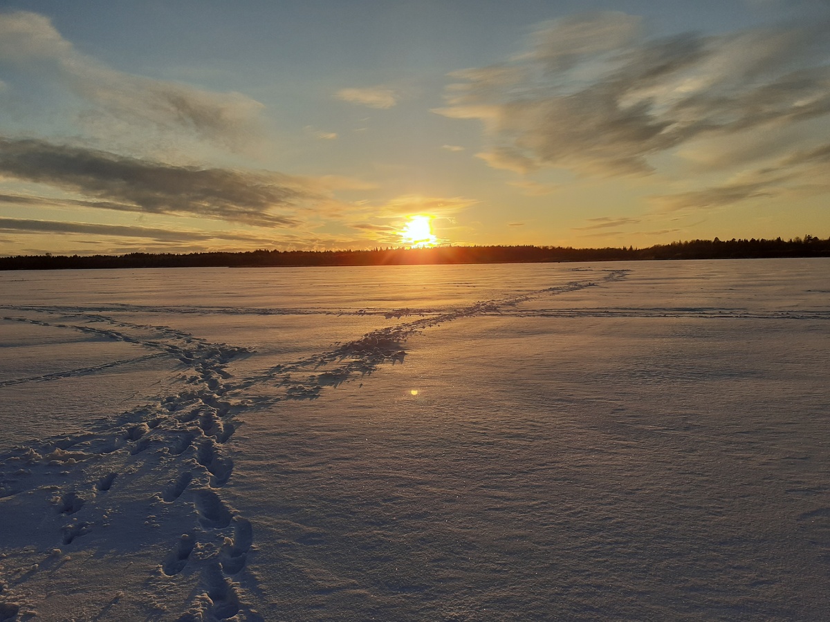 Пустынский участок национального парка "Нижегородское Поволжье" им. В.А. Лебедева, автор: А. Георгиев