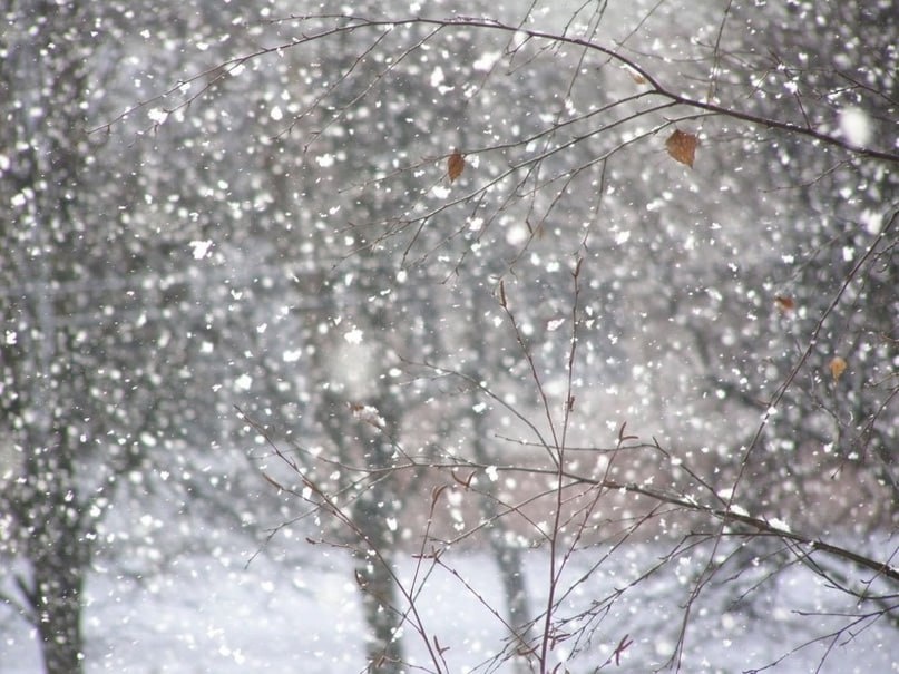 У нас снегопад 