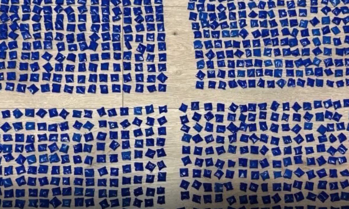    Скриншот видео t.me/mediamvd