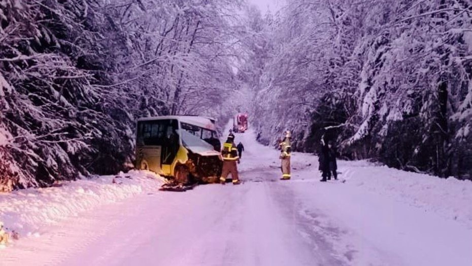   Авария с автобусом и лесовозом в Ленобласти, 14 февраля 2025 Автор фото: t.me/prok_lenobl
