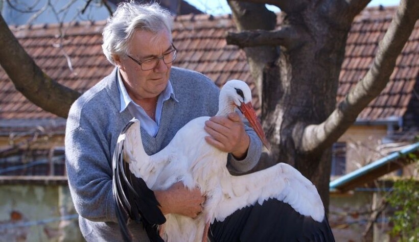    Фото: croatiaweek.com