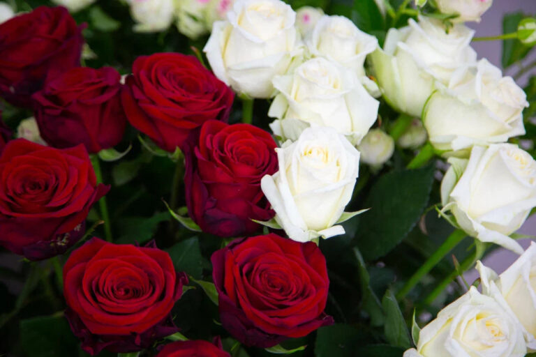    Фото: Общественная Служба Новостей Павел Лопатко