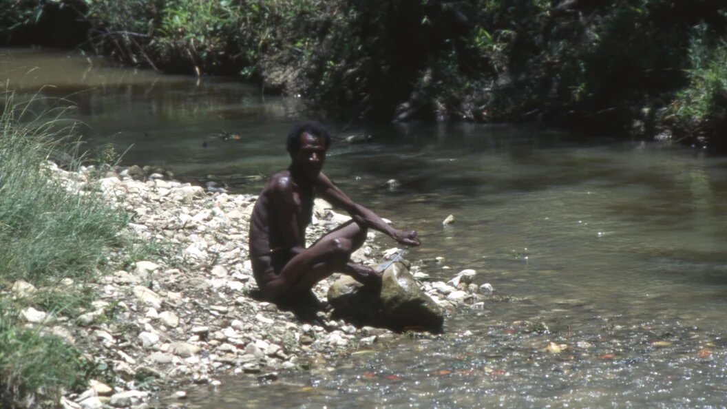    Фото: Andrei Kamenev/Globallookpress