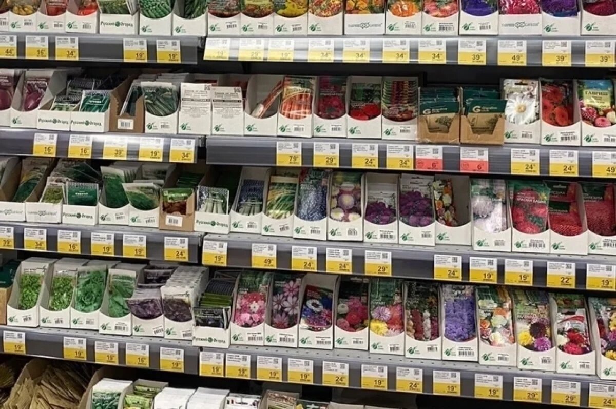    Опасную бактерию обнаружили в семенах моркови в Иркутске