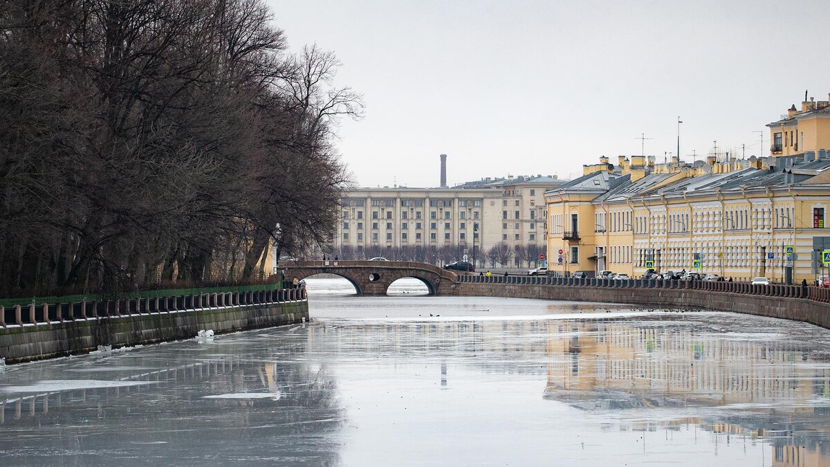    Фото: ИЗВЕСТИЯ/Телеканал «78»