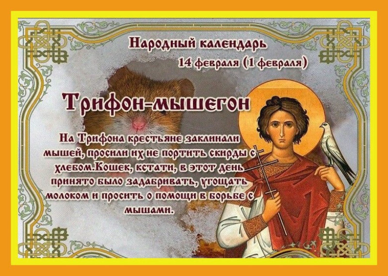 Вот так церковь к Мышегону приобщила и Трифона, который с мышами тоже не боролся, а еще и сокола добавили, для пущей убежденности.