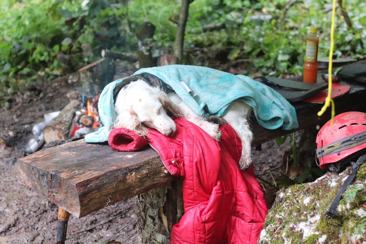 Самый сладкий сон - дневной))