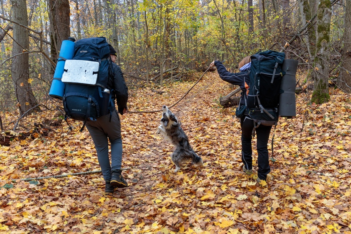 Рулонный коврик почти всегда катается снаружи, внутри он не функционален