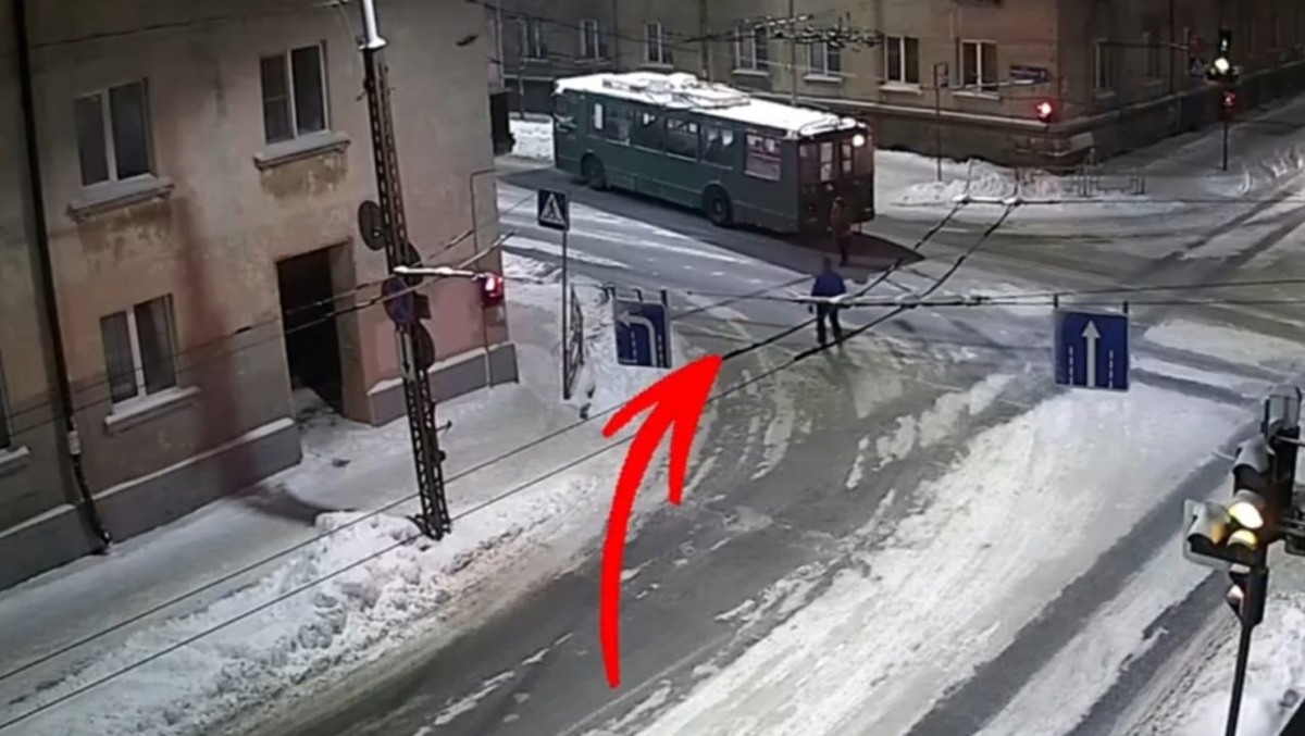    Фото: "Ситилинк"