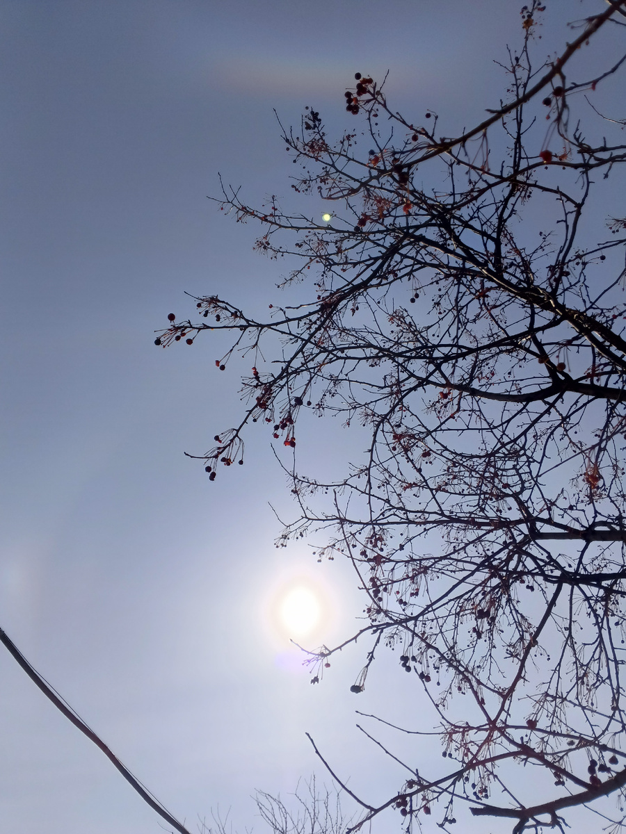 Солнечно и немного морозно🔥