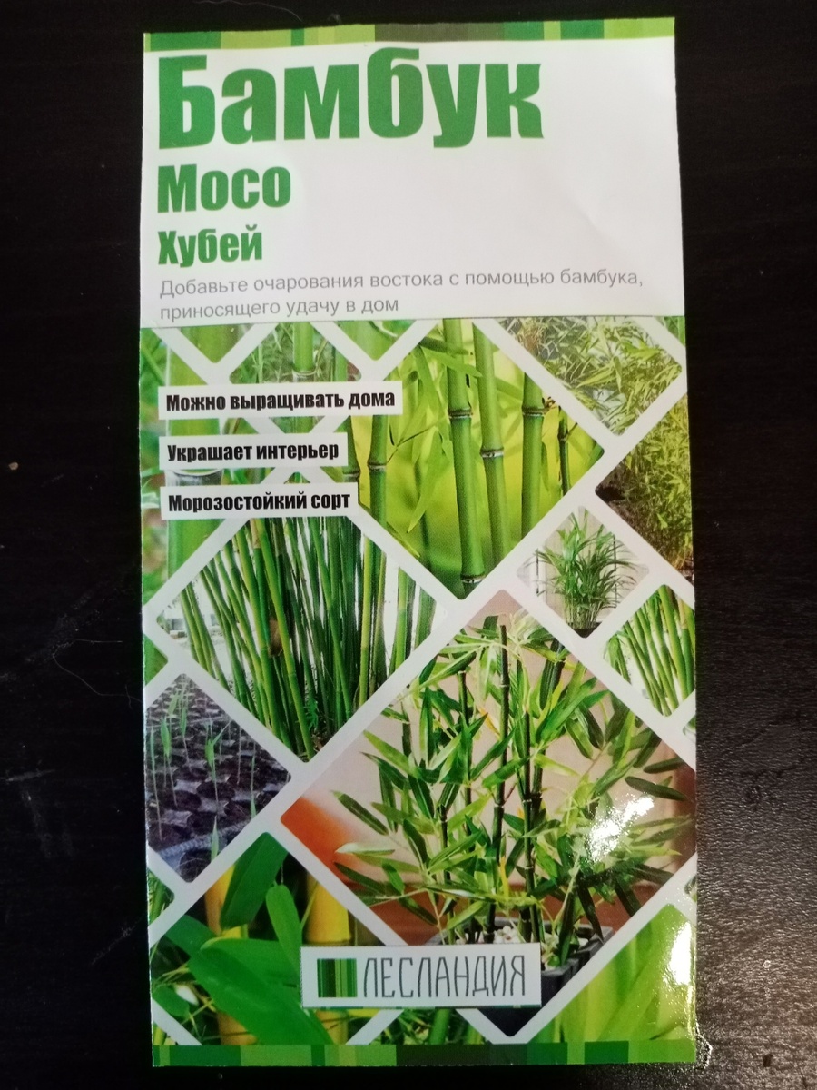 На Озоне 246 р за 20 семян.