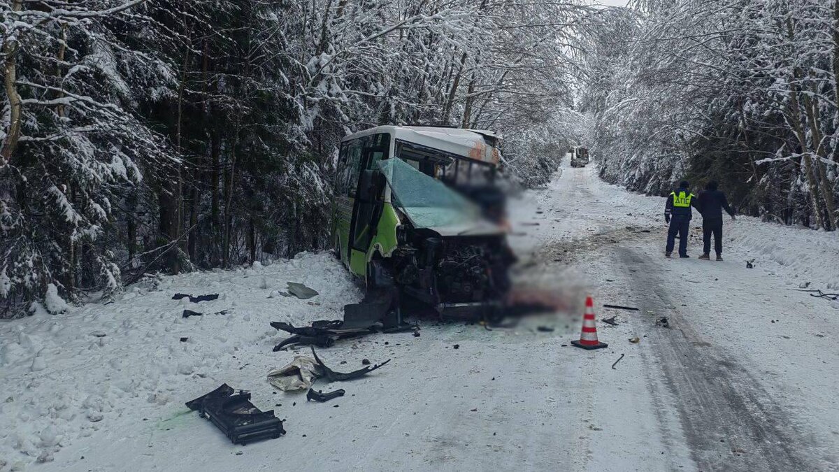    Фото: t.me/sledcom47