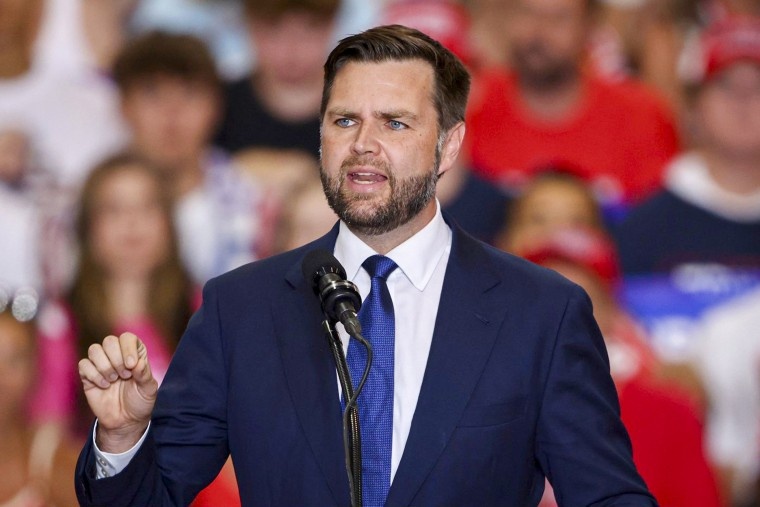    Вице-президент США Джей Ди Венс.