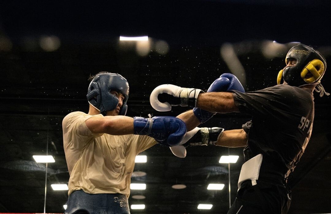    Фото: Федерация Бокса России