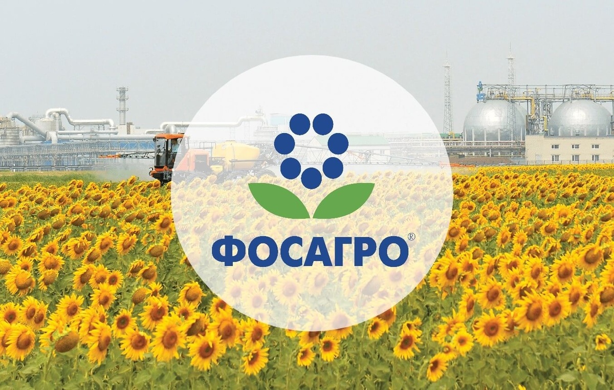 Аналитика финансовых результатов ПАО «ФосАгро» за IV квартал 2024.