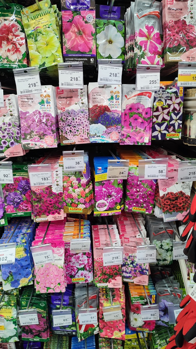 Многообразие петуний.