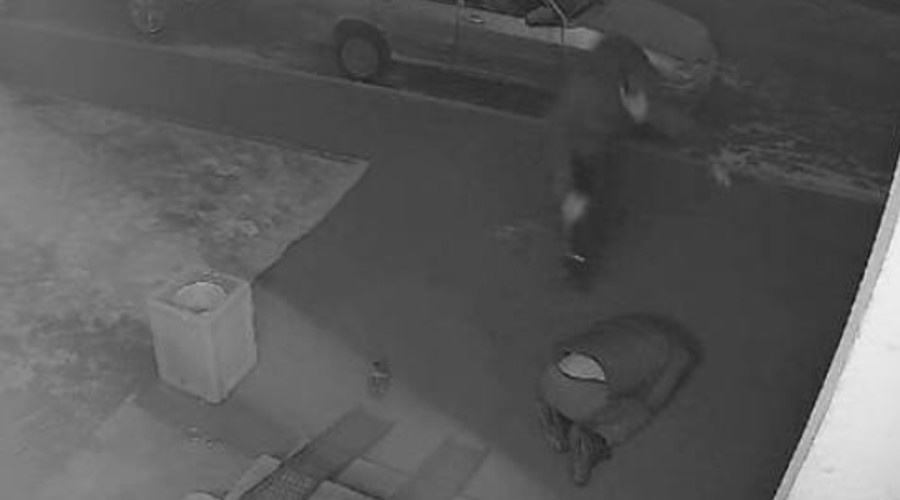    Фото: СУ СКР по Саратовской области