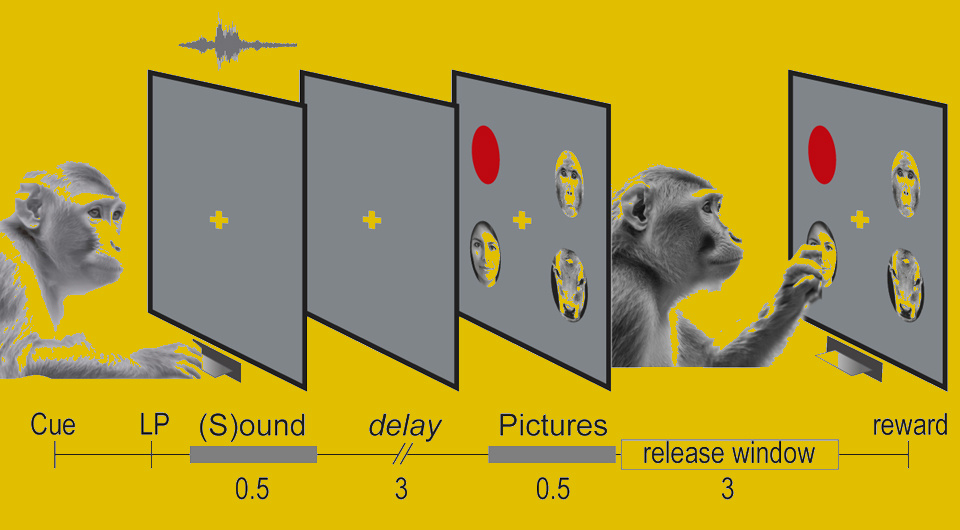   N + 1; Elizabeth Cabrera-Ruiz et al., PLOS One, 2025