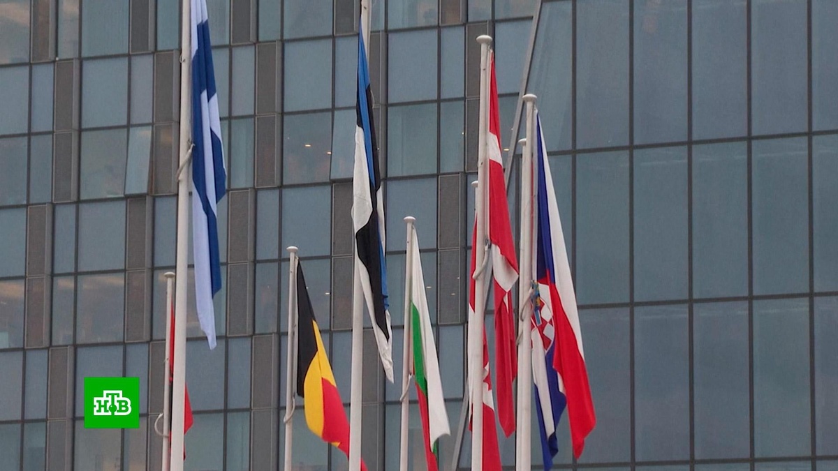    США решили пересадить Зеленского на шею европейцам