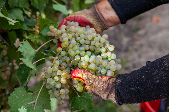 Фото: Евгений Костин/ТАСС