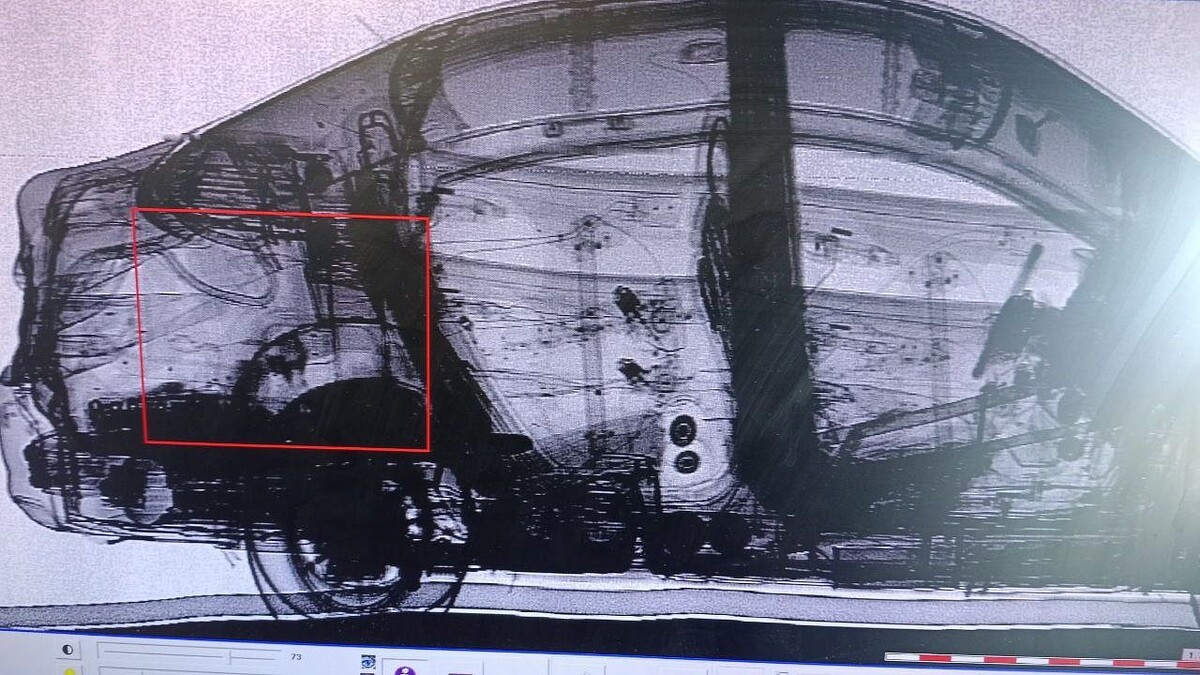    Фото: пресс-служба Краснодарской таможни по Сочи