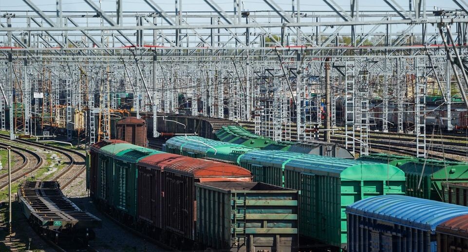    РИАМО, Пелагия Тихонова