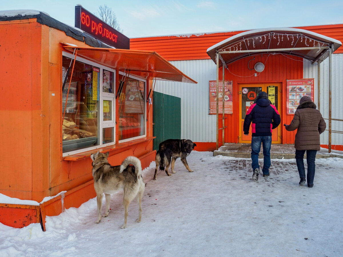 Фото носит иллюстративный характер, любые совпадения случайны
© Александр Губарев