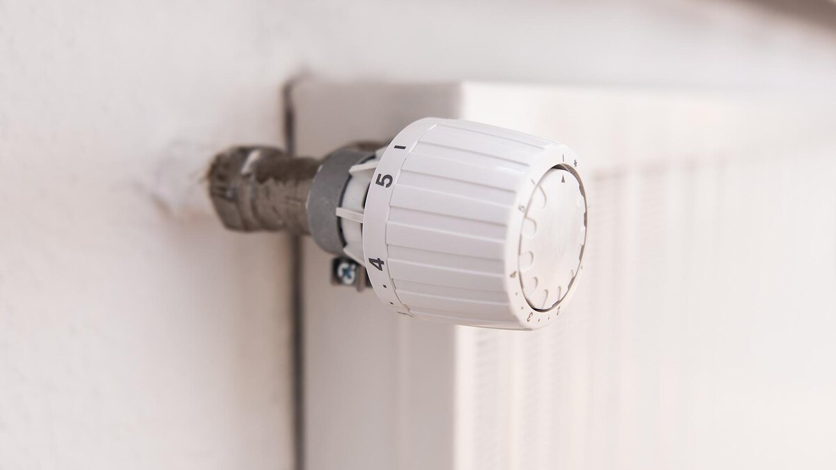    Фото: Silas Stein/globallookpress.com