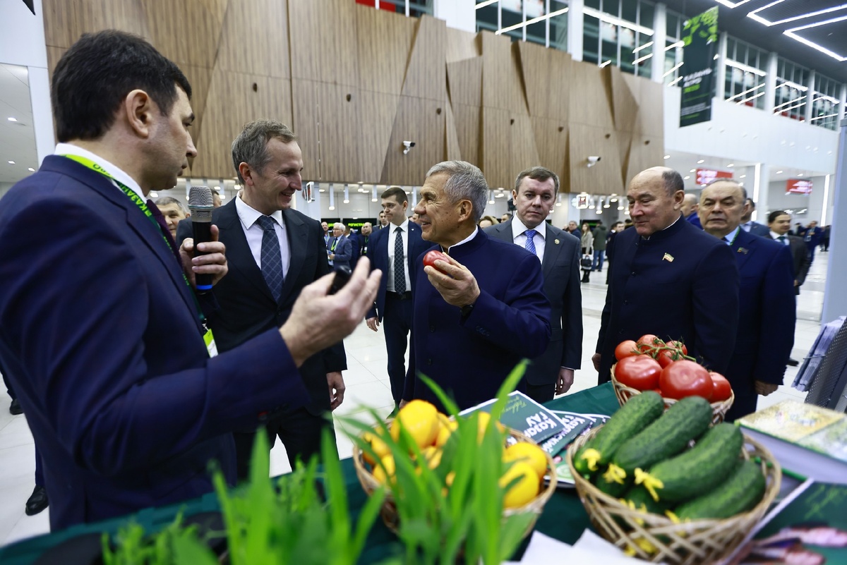 Автор фото: Павел Хацаюк / ИД «Вечерняя Казань»