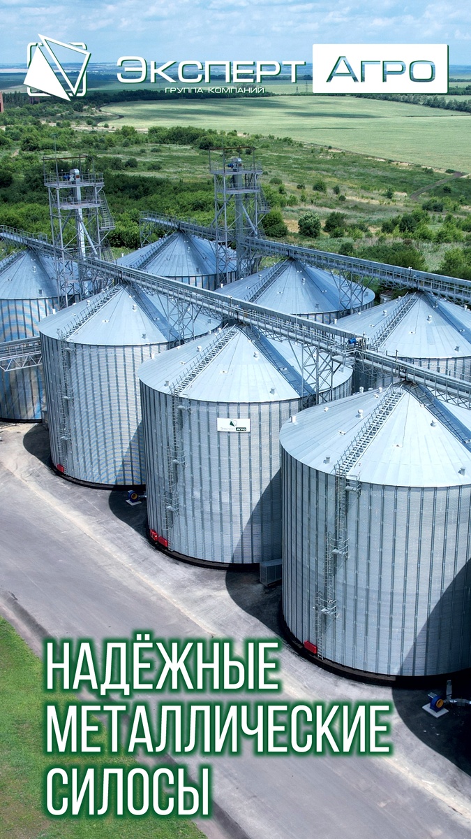 Выбор профессионалов