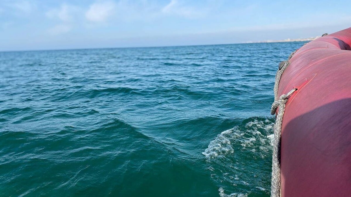    Фото: телеканал «Краснодар»