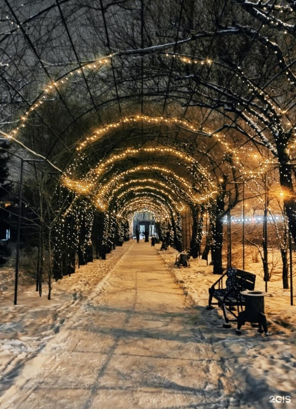 Живой тоннель в парке имени Юрия Гагарина в разные времена года
Фото: 2gis.ru
