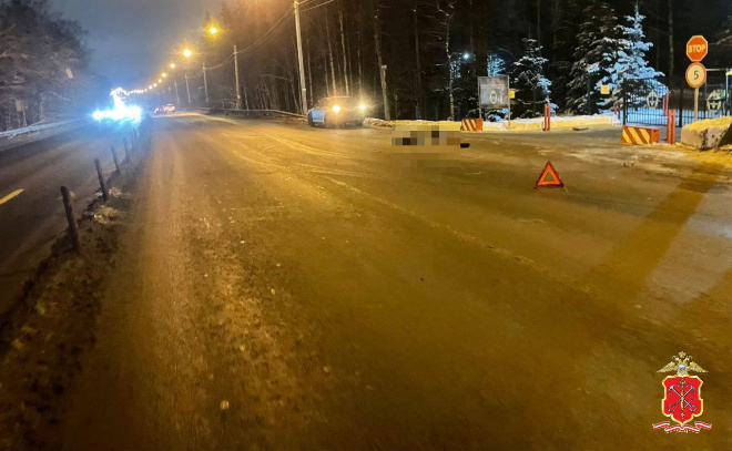    © Пресс-служба ГУ МВД России по Петербургу и Ленобласти