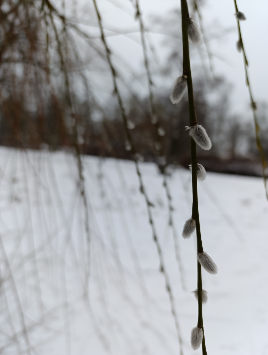 Весна близко 