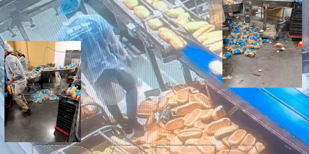 Гастарбайтеры ходят по хлебу, раскиданному на полу – фото с хлебозавода «Смак» в Екатеринбурге