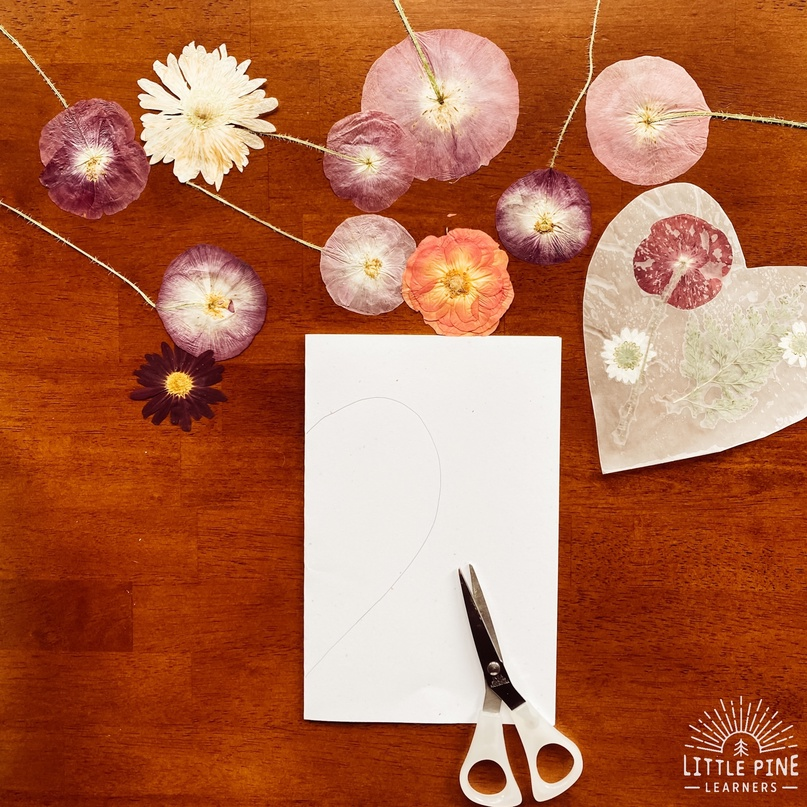 Фото: ittlepinelearners