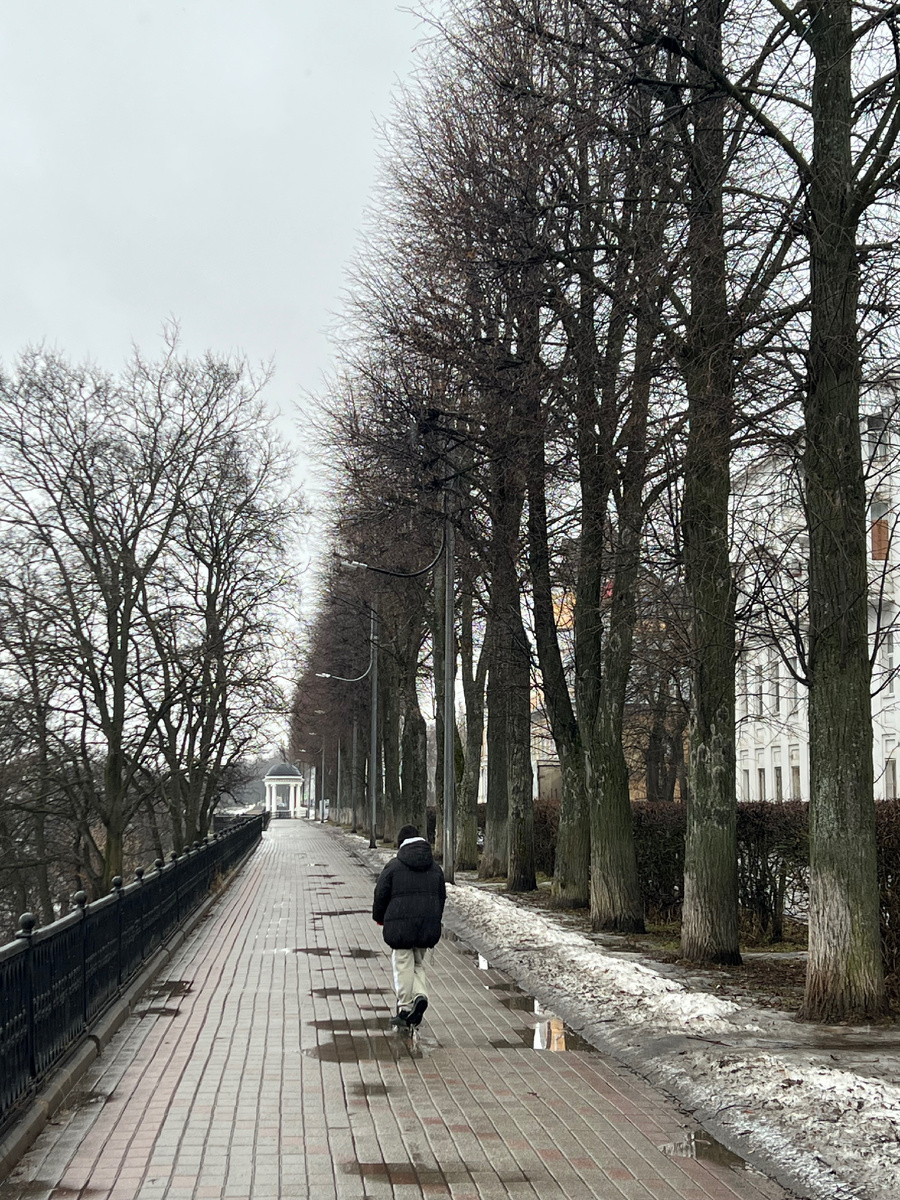 Волжская набережная в Ярославле 