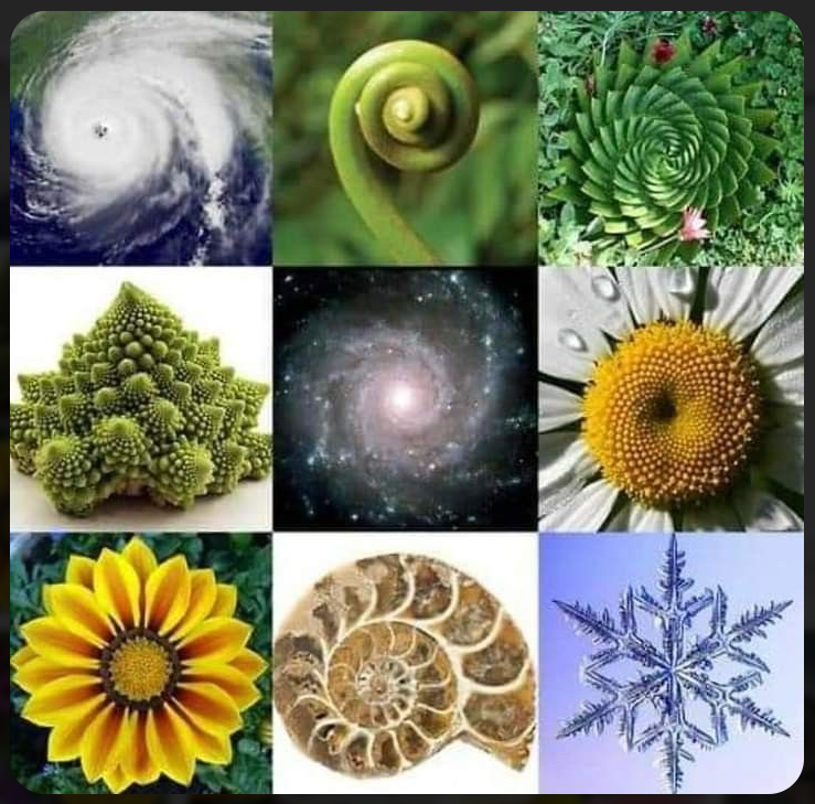 Всё в нашем мире есть - Сакральная Геометрия. Её формы проявлены повсюду.