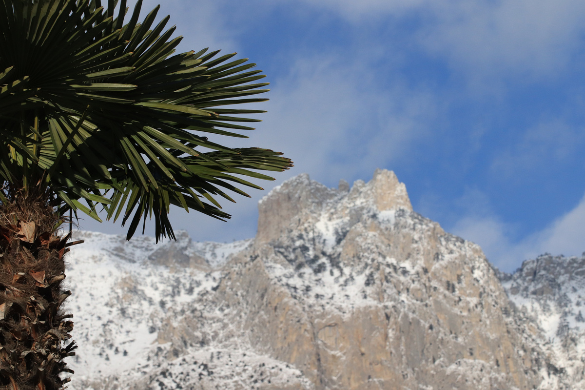 Вид на Ай-Петри // Туристический портал Республики Крым, Сергей Коршунов